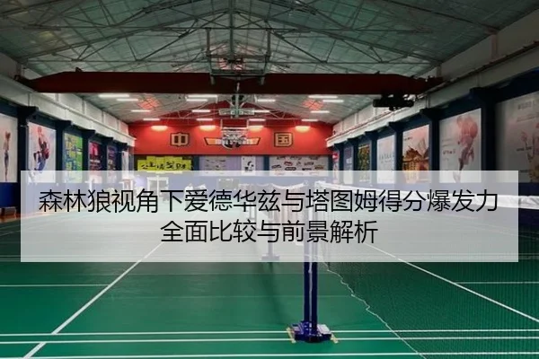 森林狼视角下爱德华兹与塔图姆得分爆发力全面比较与前景解析